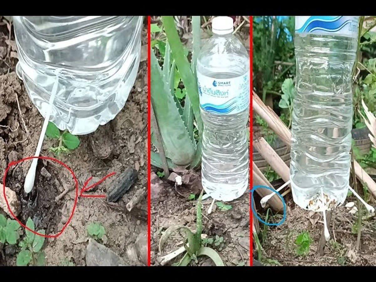 Plastové flašky jako nástroj na údržbu: 5 věcí, které jste nezvládli bez nich - image 1