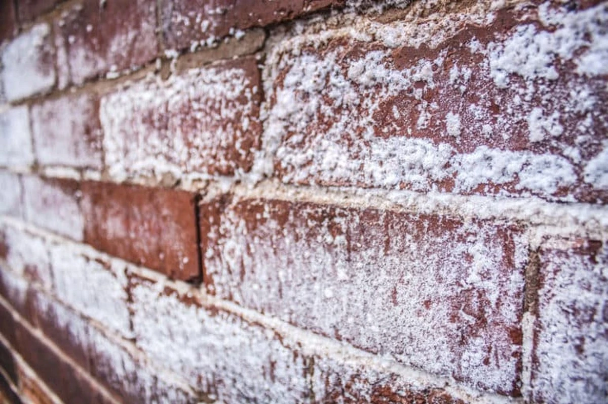 Sůl na provlhčené stěny: přírodní řešení, které inženýři znají