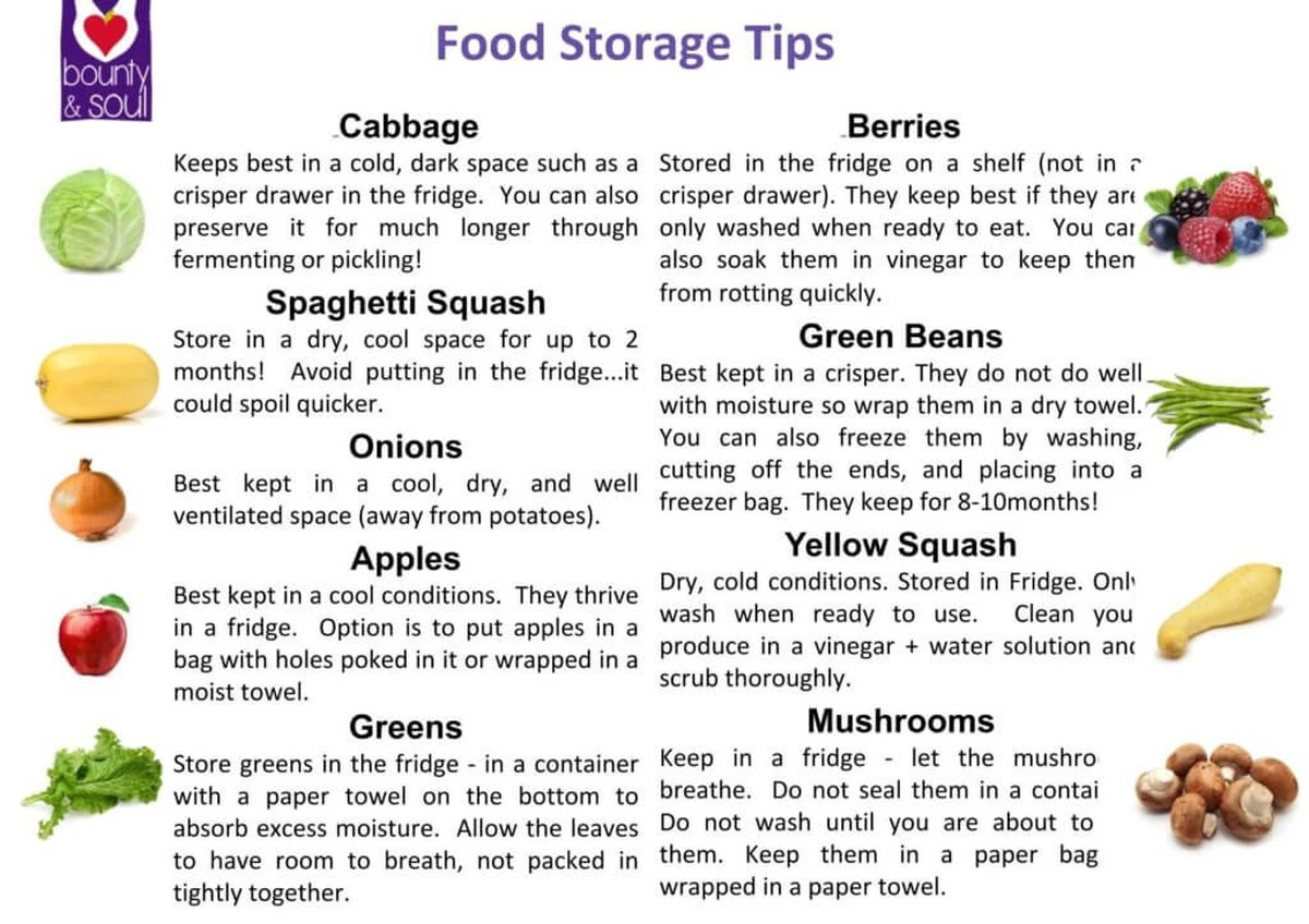 Bobkový list do mouky: Stoletá zbraň proti švábům a molům - image 2