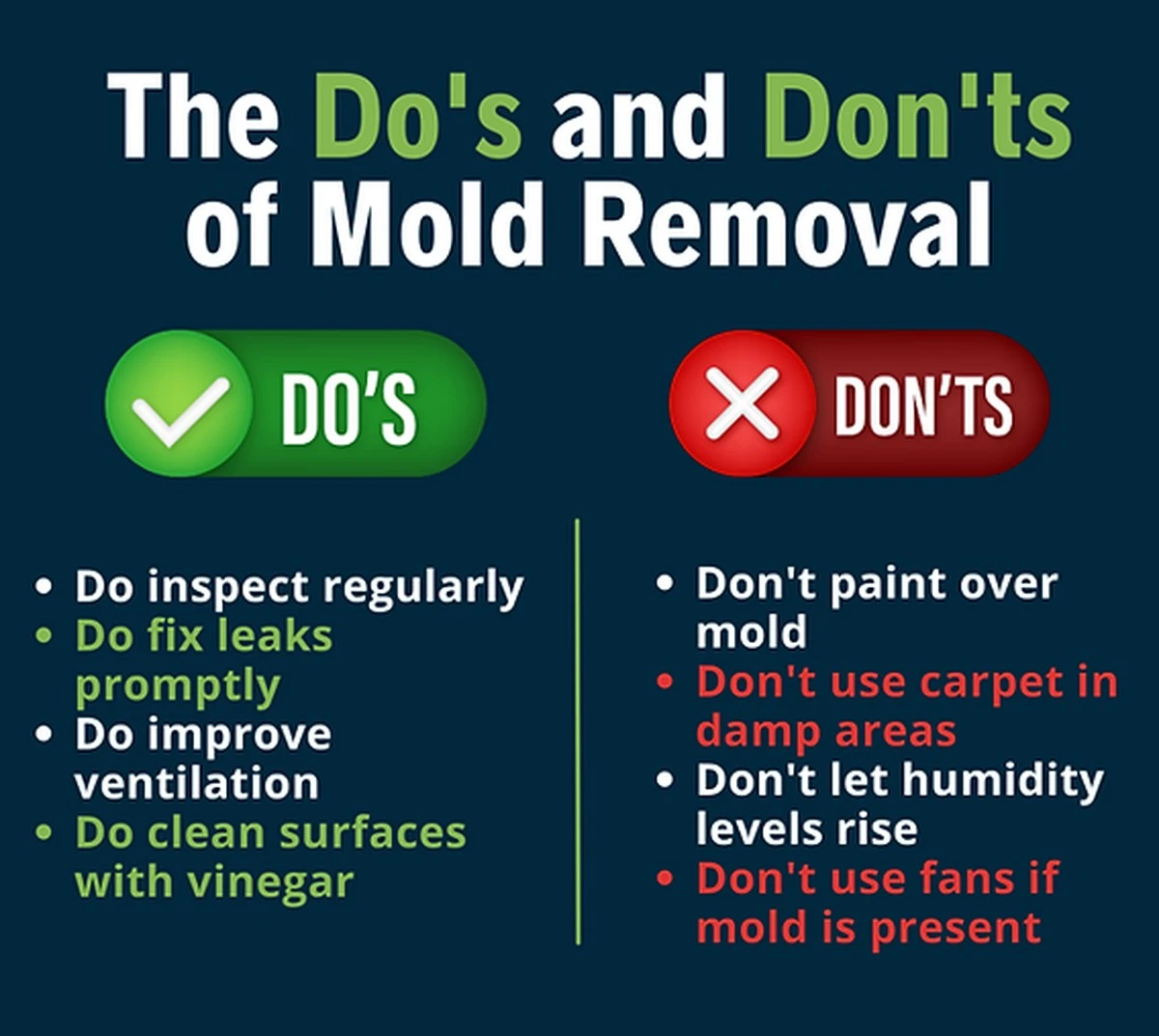 Časopis pod postel? Geniální řešení proti vlhkosti a plísni - image 1