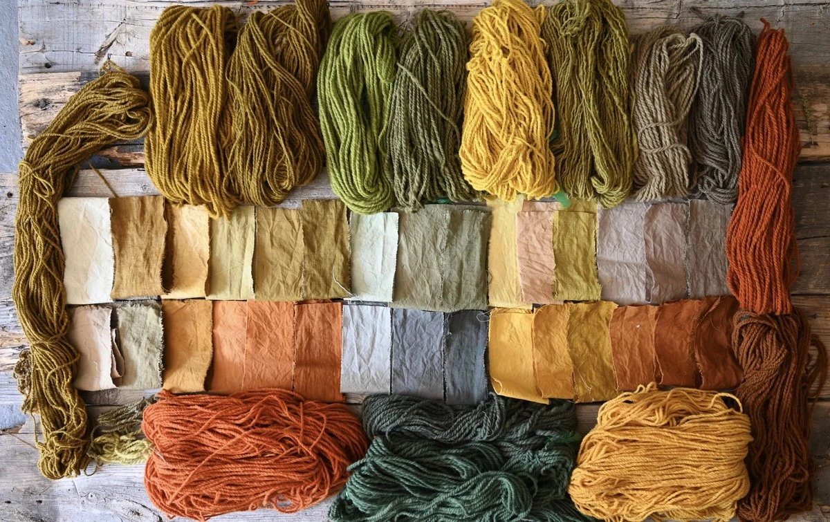 Cibulová slupka v záhradě: co s ní dělat místo vyhazování - image 2