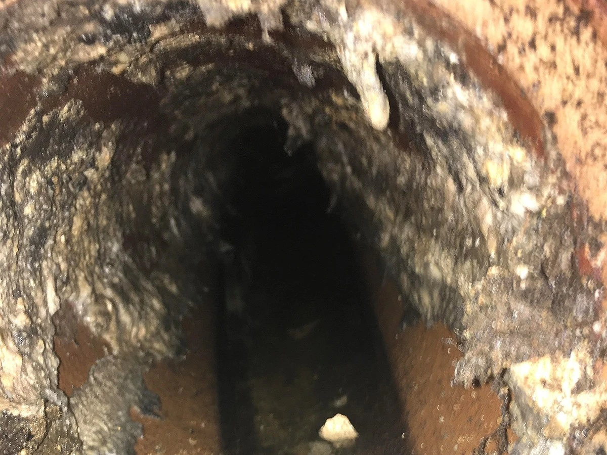 Instalatéři prosí: nikdy se nezbavujte tohoto oleje kanalizací - image 2