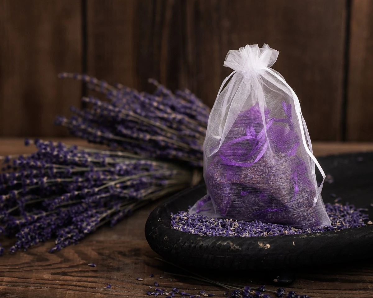 Listy levandule mezi latexovými rukavicemi – senior lifehack na dlouhověkost