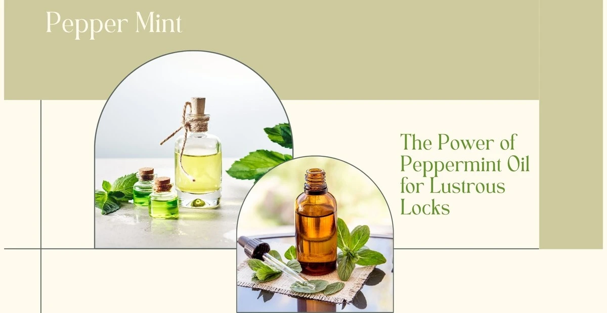 Mátový olej na zámcích: proč se o tom nemluví hlasitě