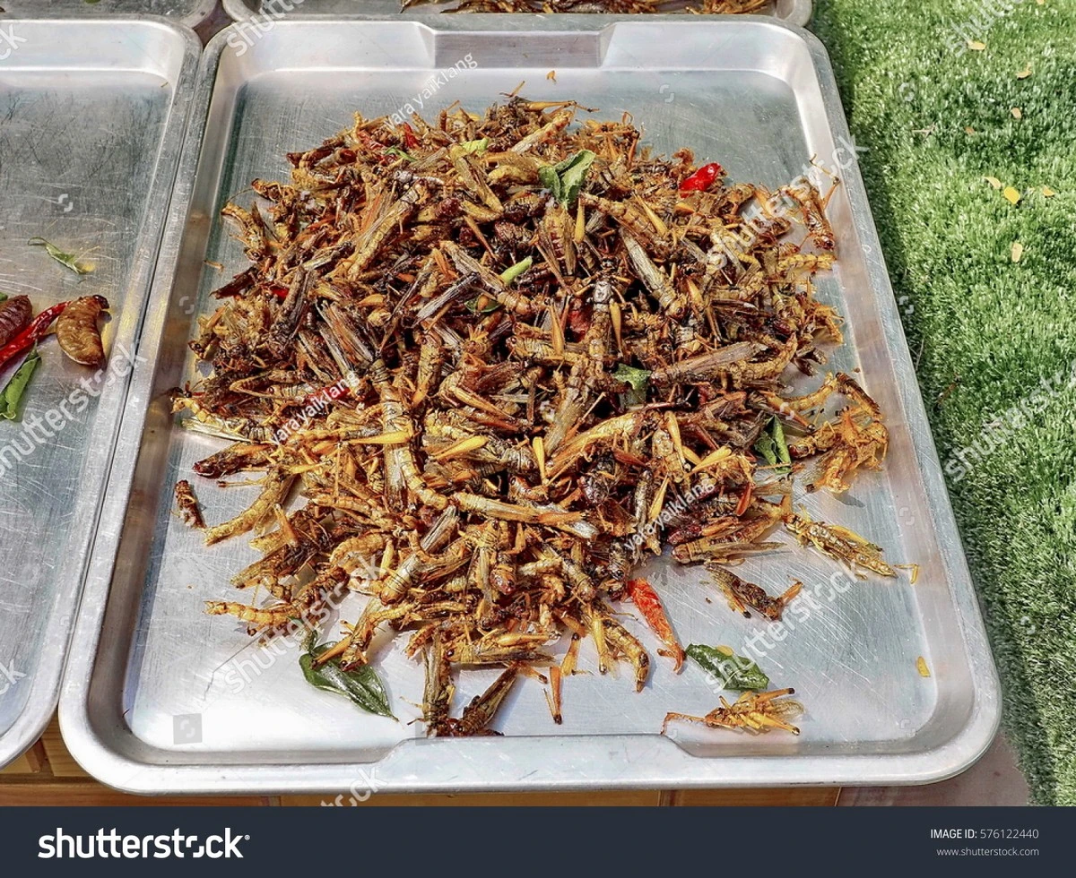 Obyčejná sůl na muchách: chemická reakce, která je vyplašuje během minut - image 1