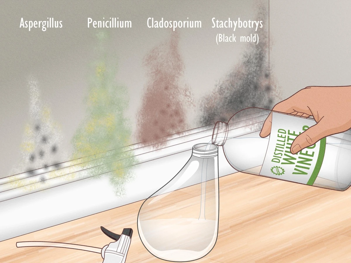 Ocet a sůl proti plísni: Zkušenost českých stavbařů
