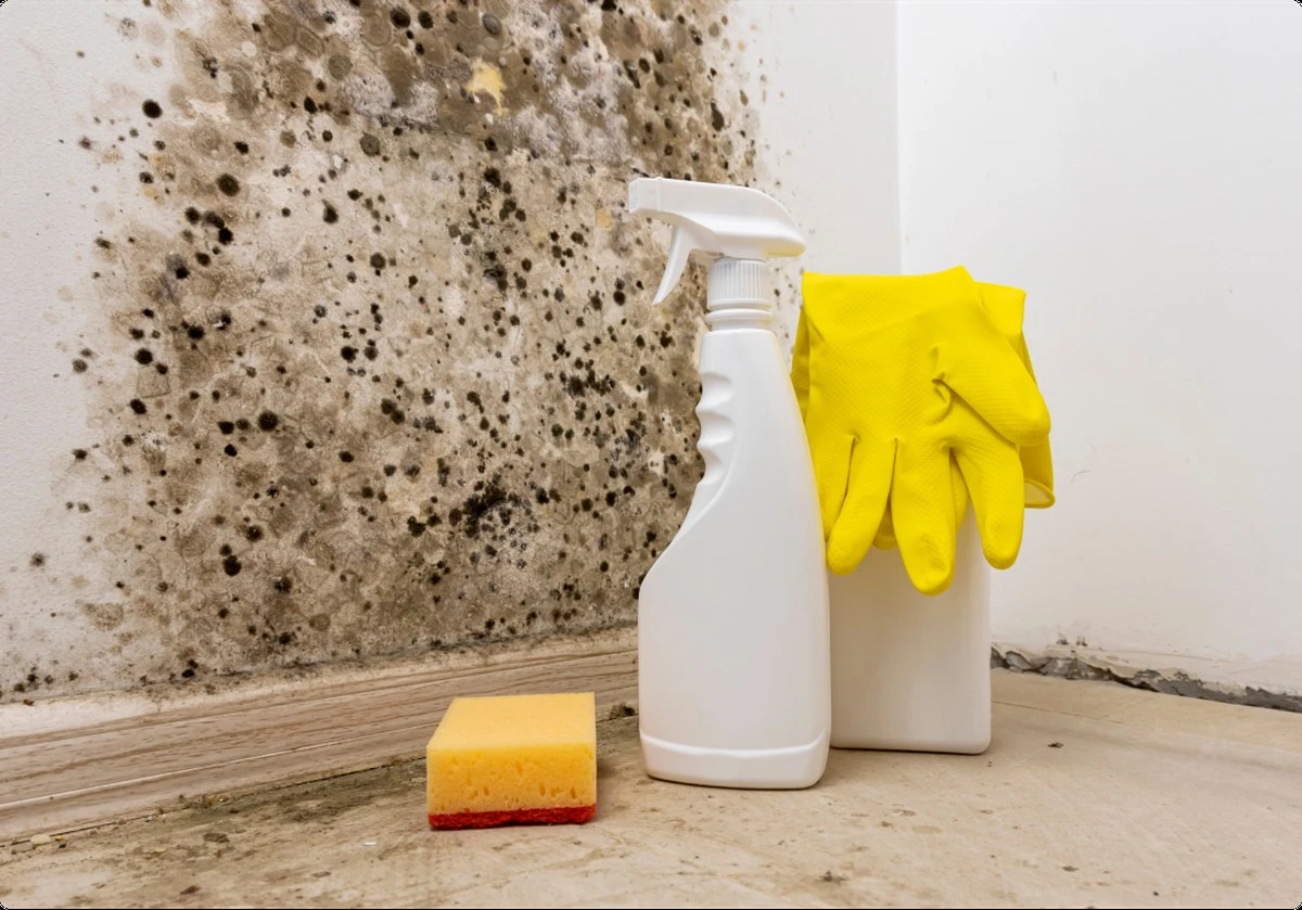 Ocet v kuchyňské skříni řeší vlhkost lépe než drahé odvlhčovače - image 1