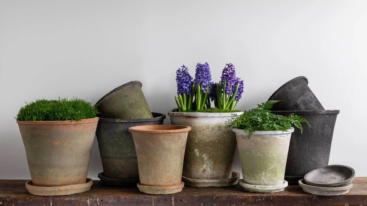 Papírové ručníky pod květináče zabraňují vlhkosti na nábytku