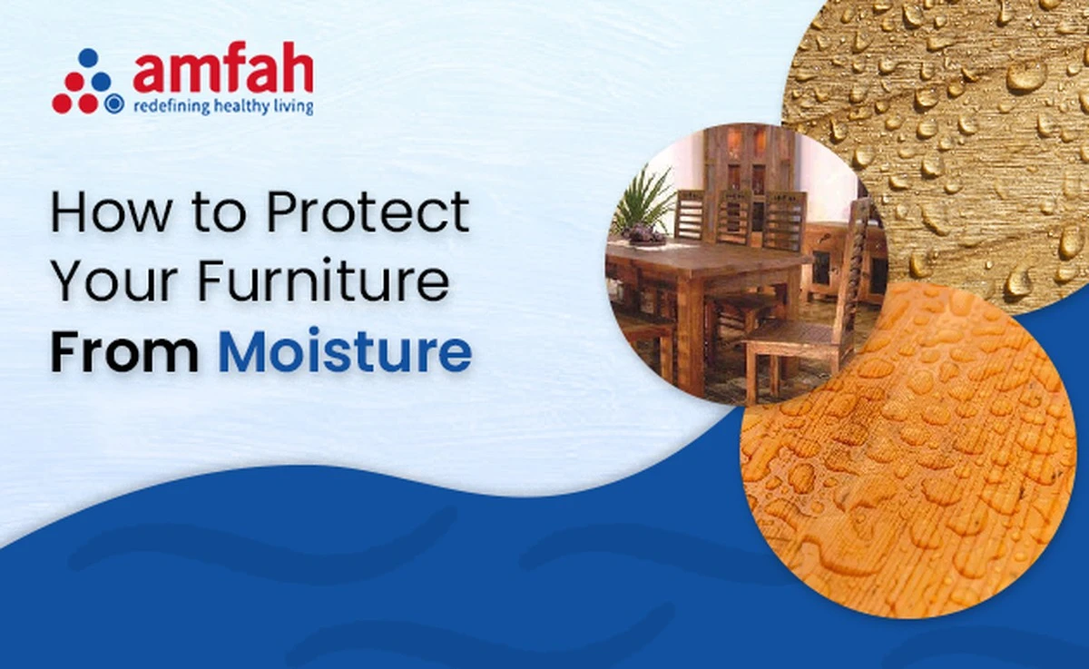 Papírové ručníky pod květináče zabraňují vlhkosti na nábytku - image 2