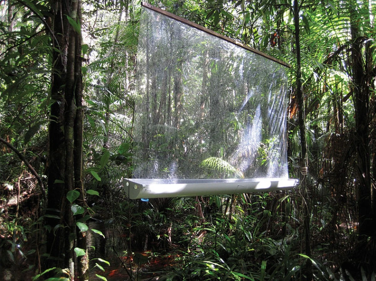 Plastová láhev na okně proti hmyzu: geniální Past, kterou znají jen zahrádkáři - image 1