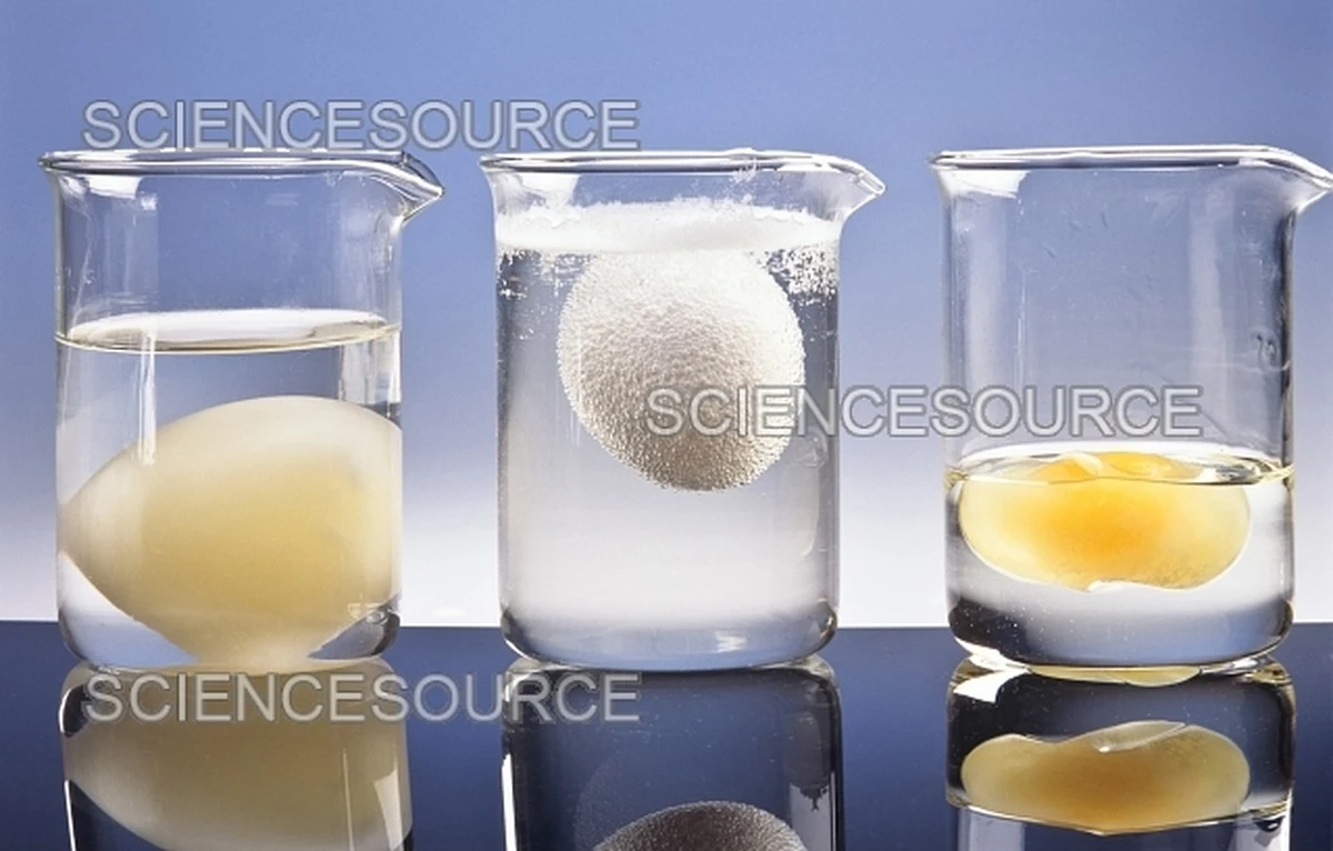 Proč kuchaři vždy přidávají ocet do vody na vejce