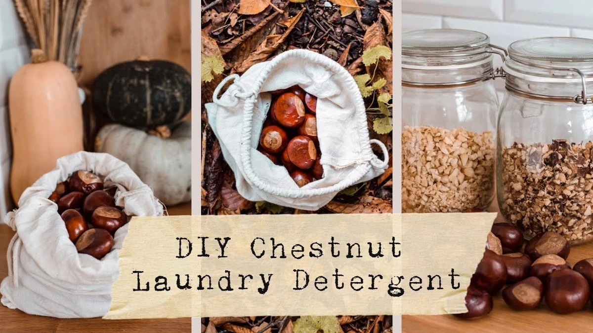 Saponáty z kastanu místo prášku: jak ušetřit 1000 Kč ročně na praní - image 2