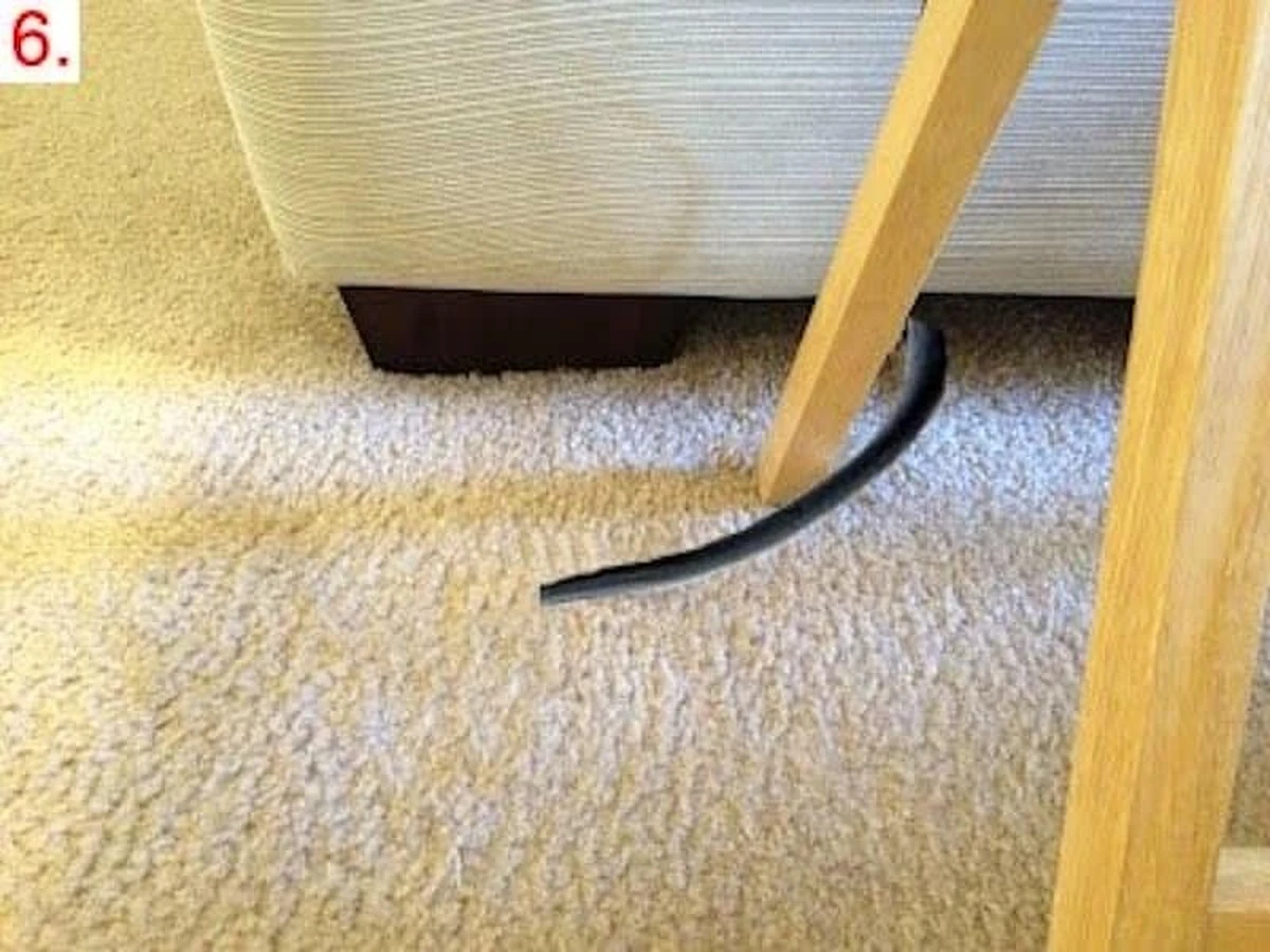 Staré noviny pod kobercemi: proč to dělají elektrici - image 2