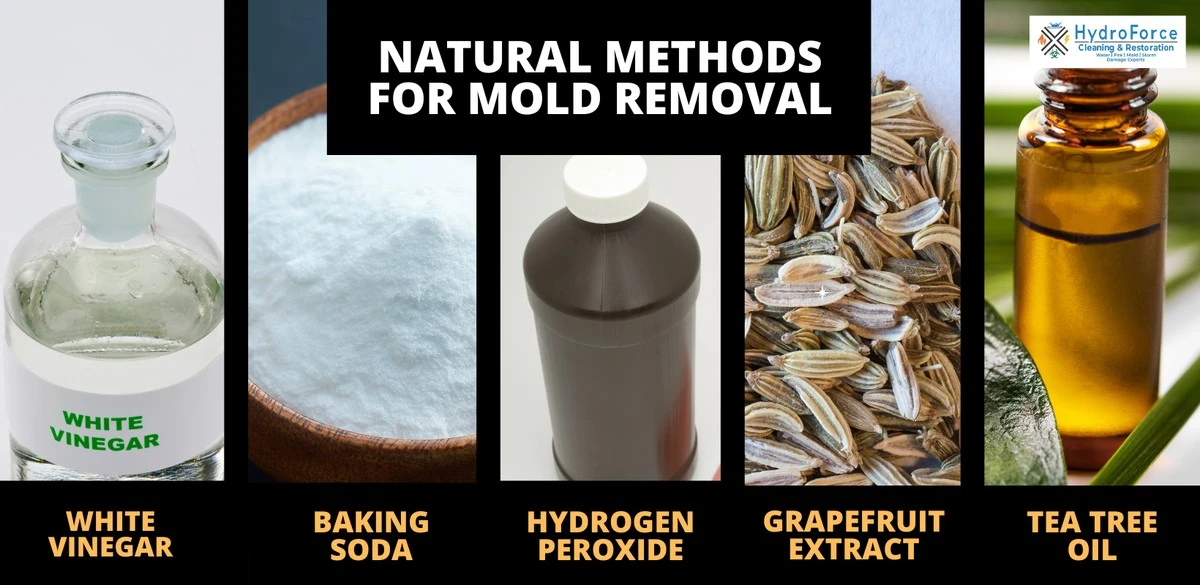 Sůl a cibule proti plísním v koupelně: Jednoduchý trik bez chemie - image 2