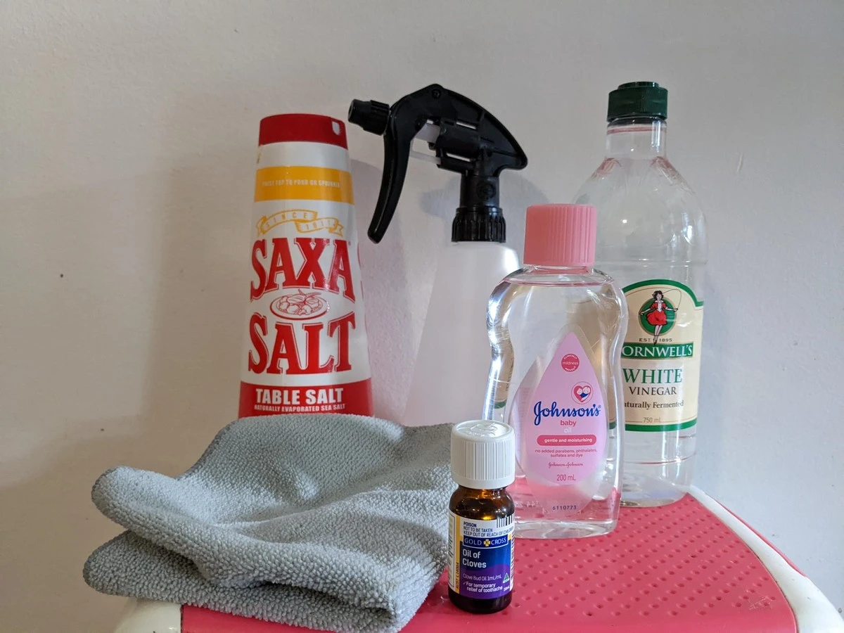 Sůl v případu do každého koutu: starý trik proti plísním, který funguje léta