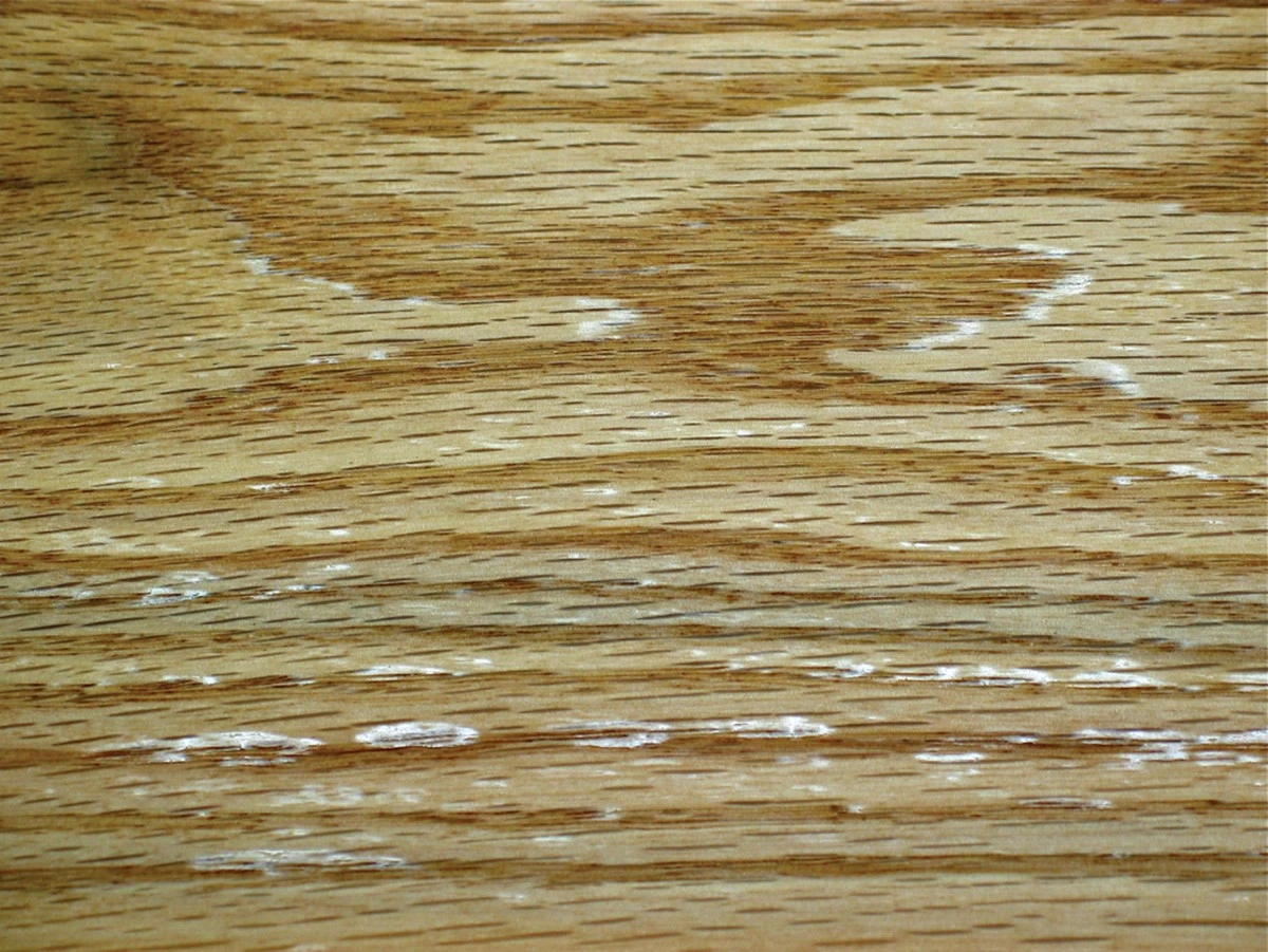 Tesaři vám řeknu: nikdy nemalujte dřevo v letních měsících - proto ne - image 2