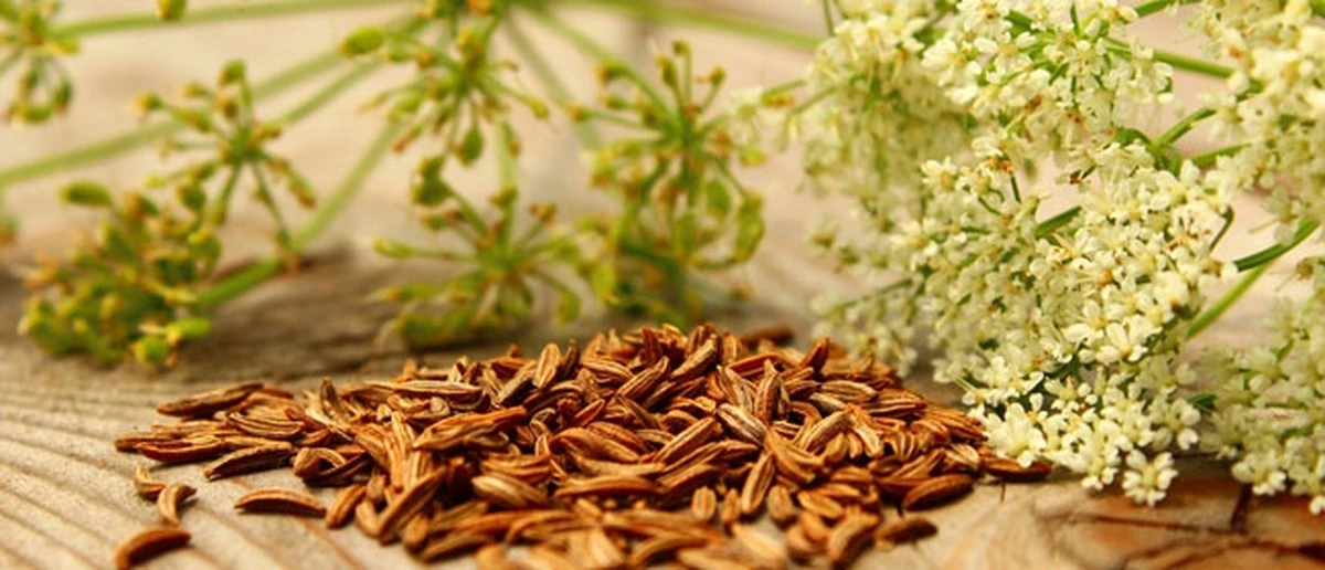 Vyzkoušejte kmín proti molům v šatníku - funguje lépe než guličky